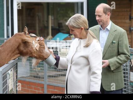 Der Graf und die Gräfin von Wessex füttern Ziegen bei einem Besuch auf der Vauxhall City Farm in London, um das Engagement und die Bildungsprogramme der Farm in Aktion zu sehen, da die Farm den Beginn des Black History Month markiert. Stockfoto