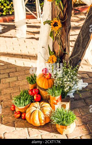 Hochzeitsbogen für die Hochzeit außerhalb der Anlage, dekoriert im Herbst Thema mit Kürbissen. Stockfoto