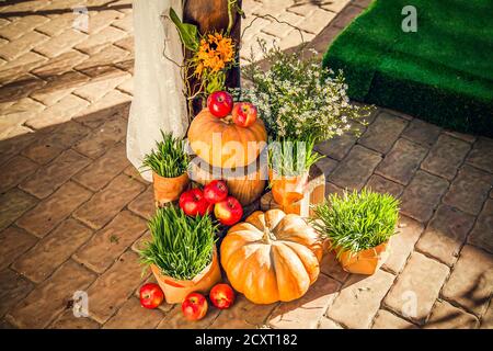 Hochzeitsbogen für die Hochzeit außerhalb der Anlage, dekoriert im Herbst Thema mit Kürbissen. Stockfoto