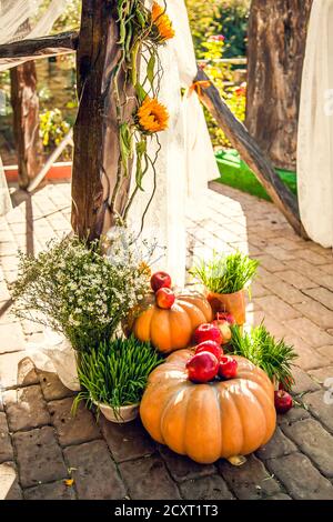 Hochzeitsbogen für die Hochzeit außerhalb der Anlage, dekoriert im Herbst Thema mit Kürbissen. Stockfoto