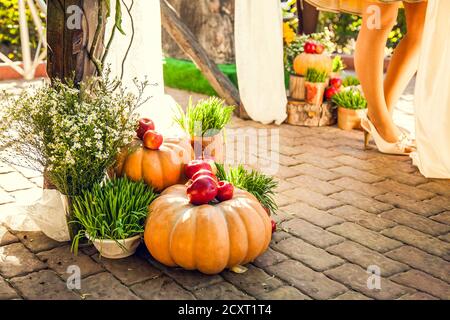 Hochzeitsbogen für die Hochzeit außerhalb der Anlage, dekoriert im Herbst Thema mit Kürbissen. Stockfoto