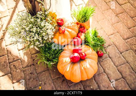 Hochzeitsbogen für die Hochzeit außerhalb der Anlage, dekoriert im Herbst Thema mit Kürbissen. Stockfoto