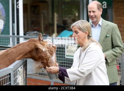 Der Graf und die Gräfin von Wessex füttern Ziegen bei einem Besuch auf der Vauxhall City Farm in London, um das Engagement und die Bildungsprogramme der Farm in Aktion zu sehen, da die Farm den Beginn des Black History Month markiert. Stockfoto