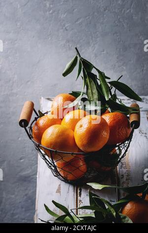 Bio clementinen oder Mandarinen mit Blättern im Warenkorb stehen auf weißen Holzbrett Tabelle mit grauen Wand als Hintergrund Reif. Im rustikalen Stil. Gesund Stockfoto