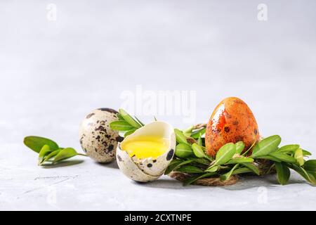 Ostern Grußkarte mit den Farben gelb orange Wachteleier in Green Nest mit Eigelb und Shell über weiße Textur Hintergrund. Close Up, kopieren Raum Stockfoto