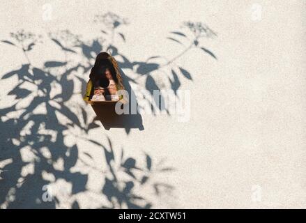 Holzvogelhaus und Baumschatten auf einer hellen Zementwand, Natur und Landschaft Leben Konzept Stockfoto