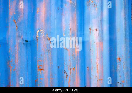 Textur aus altem rostigen Wellblech. Oberfläche mit blauer Farbe. Stockfoto