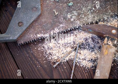 Alter Vintage Hammer, Holzsäge, Nägel und Sägemehl auf Holzhintergrund, Nahaufnahme, selektiver Fokus Stockfoto