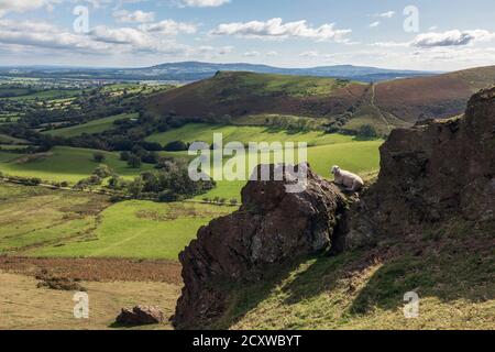 Willstone Hill von Caer Caradoc, Shropshire Hills, in der Nähe von Church Stretton, Shropshire Stockfoto