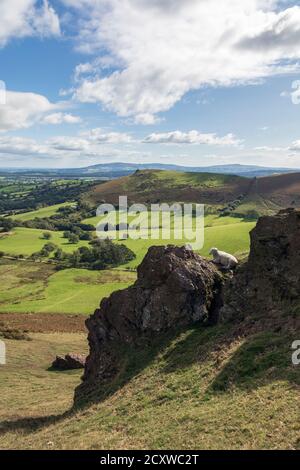 Willstone Hill von Caer Caradoc, Shropshire Hills, in der Nähe von Church Stretton, Shropshire Stockfoto