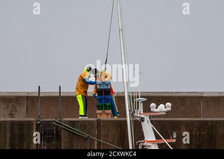 Der heutige Fang vom Boot bis zur Wand. Stockfoto