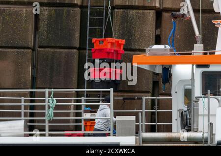 Der heutige Fang vom Boot bis zur Wand. Stockfoto