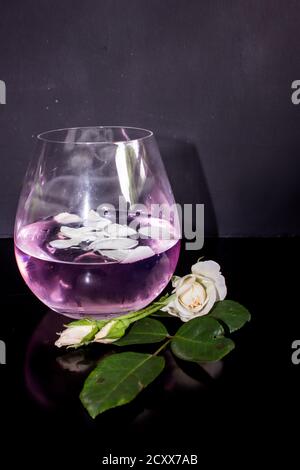 Ein Glas mit Rosengeschmack, Pink, Gin und Tonic, garniert mit weißen Rosenblättern, auf schwarzem Hintergrund Stockfoto