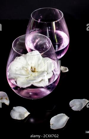 Zwei Gläser mit Rosengeschmack, Pink, Gin und Tonic, eines garniert mit einer ganzen Iceberg Rose, auf einer schwarzen Arbeitsplatte mit Rosenblättern bestreut Stockfoto