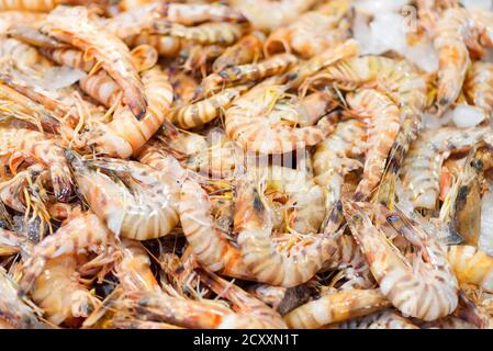 Nahaufnahme Hintergrund von frisch gefangenen natürlichen Garnelen. Stockfoto