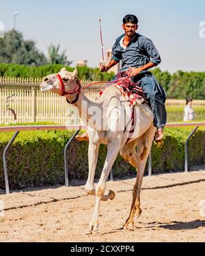 Dubai, VAE, Mar 21, 2018 - Man läuft Kamel während des Trainings für Rennen Stockfoto