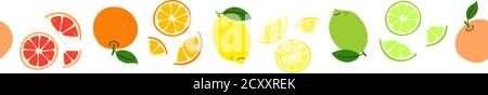 Zitrusfrüchte. Linienmuster mit Zitrone, Limette, Orange, Grapefruit. Nahtloser Rahmen. Satz von hellen Vektorfrüchten isoliert auf weißem Hintergrund. Endlos Stock Vektor