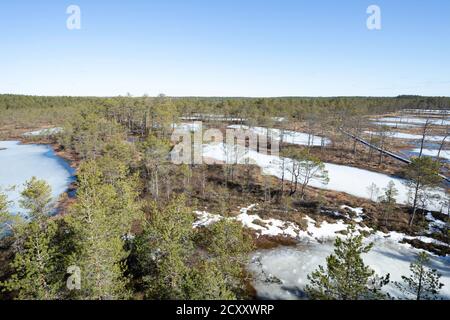 Winterende. Estland, Lahemaa Nationalpark. Ehemaliger sowjetischer Antionspark. Sumpfgebiet. Hochmoore Stockfoto