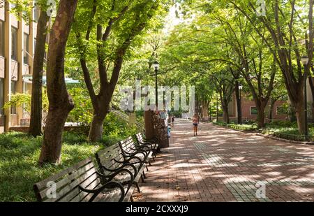 Universitätscampus mit wenigen Studenten während Pandemie Herbst 2020, University of Pennsylvania, Philadelphia, USA Stockfoto
