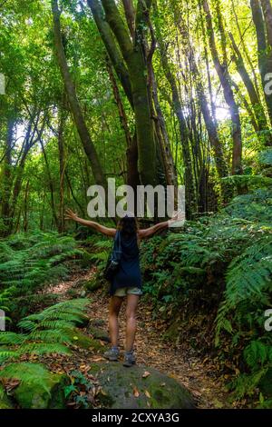 Weibchen im Naturpark Cubo de la Galga an der Südostküste der Insel La Palma, Kanarieninsel Stockfoto