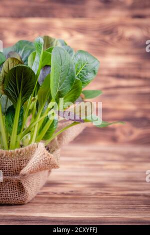 Frische Salatblätter in einer Holzschüssel auf rustikalem Holz Hintergrund Stockfoto