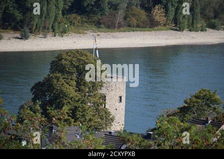 Blick über die Rhens am Rhein Stockfoto