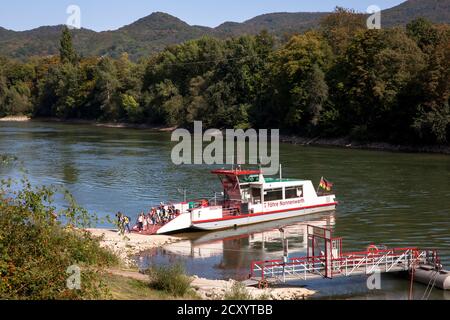 Fähre zur Insel Nonnenwerth am Rhein in Remagen-Rolandswerth, Rheinland-Pfalz, Deutschland. Faehre zur Insel Nonnenwerth im Rhein Stockfoto