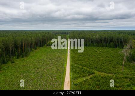 Leere Straße durch den Wald unter bewölktem Himmel Luftbild Stockfoto