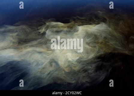 Wolke von Waschmittel schwimmt unter der Wasseroberfläche nach dem Waschen von Teppichen am See, Finnland Stockfoto