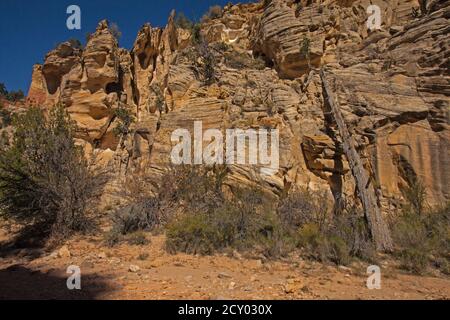 Willis Creek 2332 Stockfoto