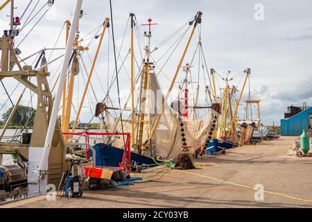 Fischerboote mit Garnelen auf dem Fluss Reitdiep und Zoutkamperril Im Hafen von Zoutkamp an einem Sommertag mit Blauer Himmel und weiße Wolken Stockfoto