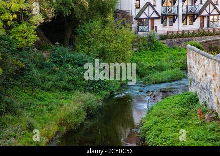 Bach mit Vegetation und Bäumen und Haus im Hintergrund Stockfoto