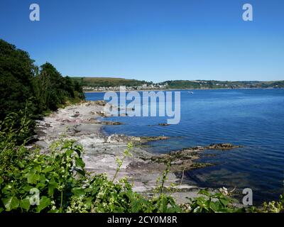 Die felsige, nach Osten ausgerichtete Küste von St. George's oder Looe Island, Cornwall. Stockfoto