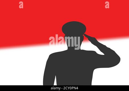 Löt Silhouette auf verwackelte Hintergrund mit Indonesien Flagge. Stock Vektor