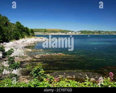 Die felsige, nach Osten ausgerichtete Küste von St. George's oder Looe Island, Cornwall. Stockfoto