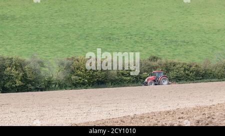 Roter tschechischer Zetor Traktor / Forterra 140 HSX Bodenbearbeitungsfeld mit spiralförmiger Krümelwalze hinter Traktor. Unsicher, ob auch Zinken kultiviert werden. Stockfoto