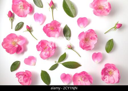 Blumenmuster aus Köpfen und Knospen von Rosen und Blättern auf weißem Hintergrund. Rosenblätter sind wie Herzen. Draufsicht und Vollformat. Stockfoto