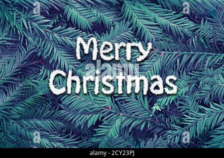 Kreatives Layout Hintergrund aus Weihnachtsbaum Äste gemacht. Flach liegend. Natur Weihnachtskonzept. Frohe Weihnachten. Stockfoto