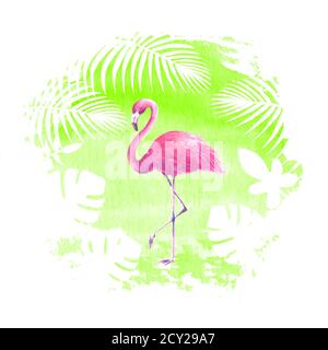 Rosa Flamingo und tropische exotische Pflanzen auf grünen Aquarell handgezeichneten Punkt. Tropischer exotischer Vogel isoliert vor Ort Hintergrund. Aquarell von Hand gezeichnet Stockfoto