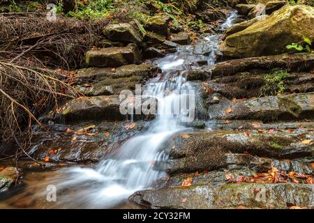 Mountain River Creek zwischen Steinen und Bäumen. Stockfoto