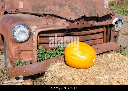 Kürbis liegt auf Heuballen in der Nähe verlassenen und rostigen Auto. Stockfoto