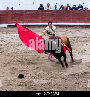 Ambato, Ecuador - Mar 15, 2015 - Stierkämpfer zu Fuß Duelle mit Stier während Karneval Stockfoto