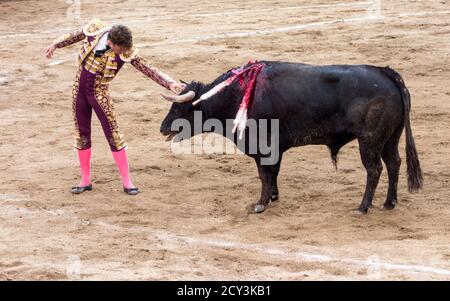 Ambato, Ecuador - Mar 15, 2015 - Stier Torero starrt, während Karneval Stockfoto