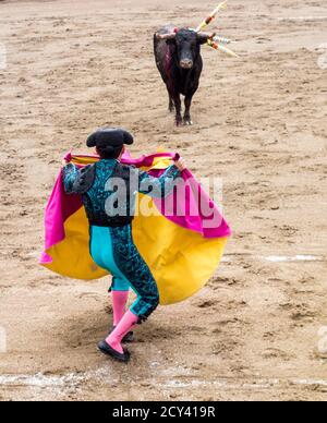 Ambato, Ecuador - Mar 15, 2015 - Stierkämpfer zu Fuß Duelle mit Stier während Karneval Stockfoto