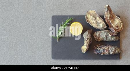 Geschlossene frische rohe Austern auf Schiefertafel mit Zitronenscheibe und Rosmarin auf einem grauen Tisch, Draufsicht mit Kopierraum Stockfoto