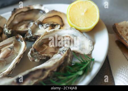 Geöffnete Austern auf dem weißen Teller mit Zitronenscheiben und Rosmarin, Nahaufnahme Stockfoto