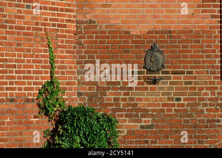 Kaliningrad, Russland - 30. september 2020: Gedenkschild zu Ehren von Peter 1 an der Mauer Königssberger Dom Stockfoto