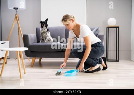 Frau Reinigung Heim Wohnzimmer Boden Mit Scoop Stockfoto