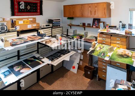 Großformatige Gicleé-Farbdrucke trocknen im Büro des Fotografen Stockfoto