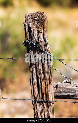 In der Nähe von Stacheldraht zaun & Holzzaun Post; Ranch in Colorado, USA Stockfoto